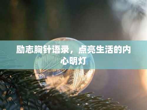 励志胸针语录,点亮生活的内心明灯