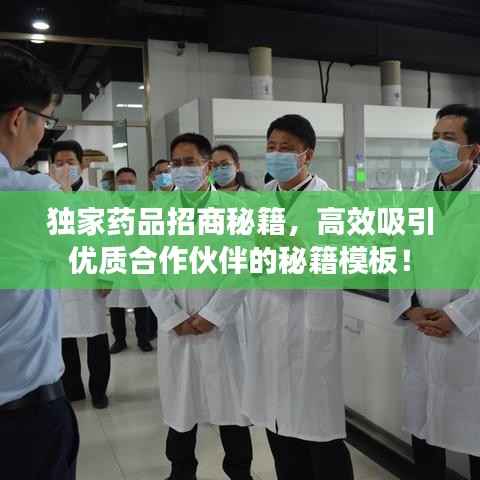 独家药品招商秘籍,高效吸引优质合作伙伴的秘籍模板!