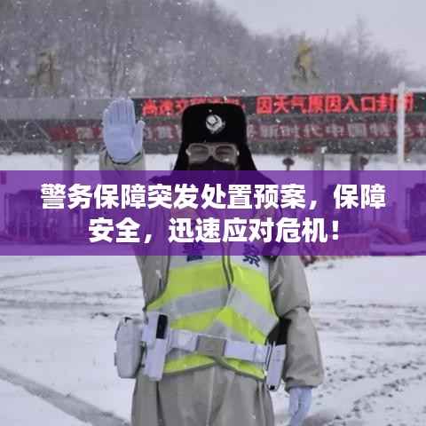 警务保障突发处置预案,保障安全,迅速应对危机!