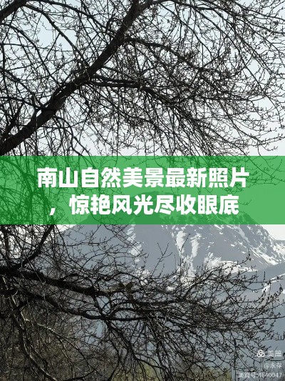 南山自然美景最新照片,惊艳风光尽收眼底