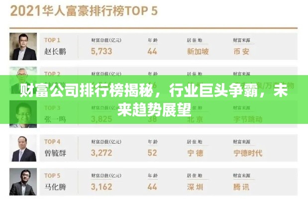 财富公司排行榜揭秘,行业巨头争霸,未来趋势展望