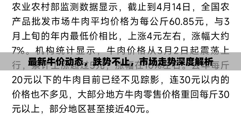 最新牛价动态，跌势不止，市场走势深度解析