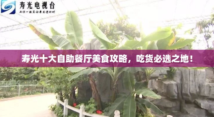 寿光十大自助餐厅美食攻略,吃货必选之地!