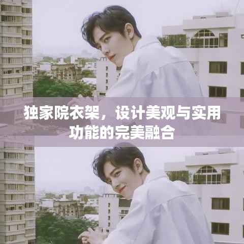 独家院衣架,设计美观与实用功能的完美融合