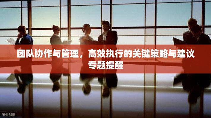 团队协作与管理,高效执行的关键策略与建议专题提醒