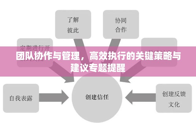 团队协作与管理,高效执行的关键策略与建议专题提醒