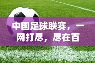 中国足球联赛,一网打尽,尽在百度掌握!