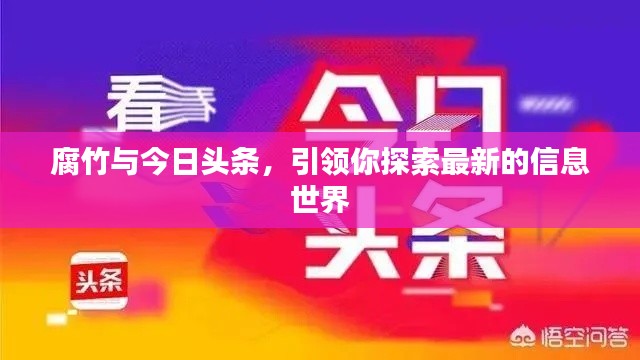 腐竹与今日头条,引领你探索最新的信息世界