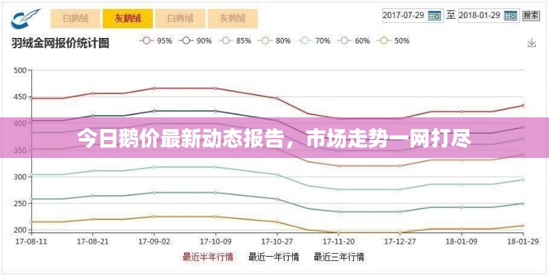 今日鹅价最新动态报告,市场走势一网打尽