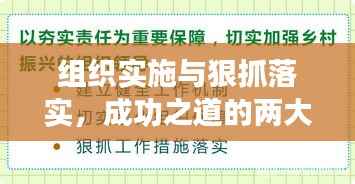 组织实施与狠抓落实,成功之道的两大关键要素