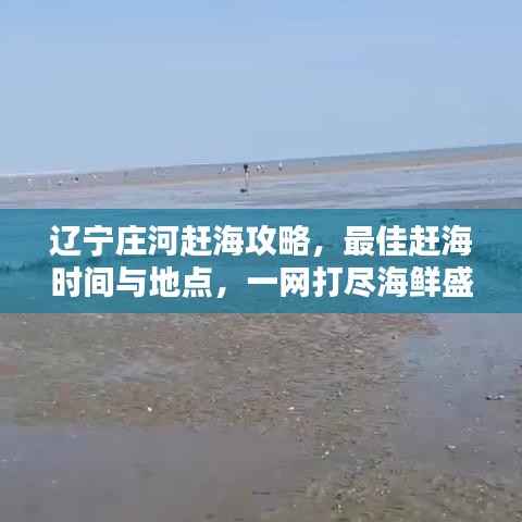 辽宁庄河赶海攻略,最佳赶海时间与地点,一网打尽海鲜盛宴!