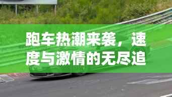 跑车热潮来袭,速度与激情的无尽追逐