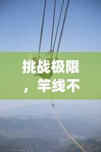 挑战极限,竿线不断,技艺非凡的艺术展现