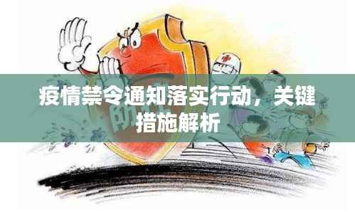疫情禁令通知落实行动,关键措施解析