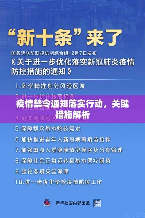 疫情禁令通知落实行动,关键措施解析