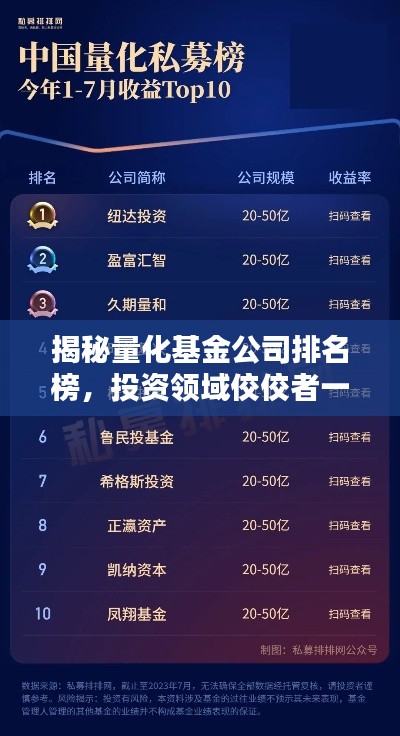 揭秘量化基金公司排名榜,投资领域佼佼者一览无余