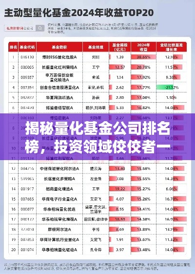揭秘量化基金公司排名榜,投资领域佼佼者一览无余