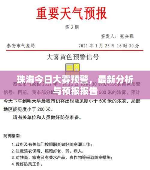 珠海今日大雾预警,最新分析与预报报告