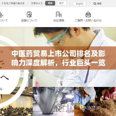 中医药贸易上市公司排名及影响力深度解析,行业巨头一览