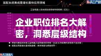企业职位排名大解密,洞悉层级结构,一览无余