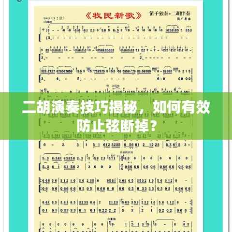 二胡演奏技巧揭秘，如何有效防止弦断掉？