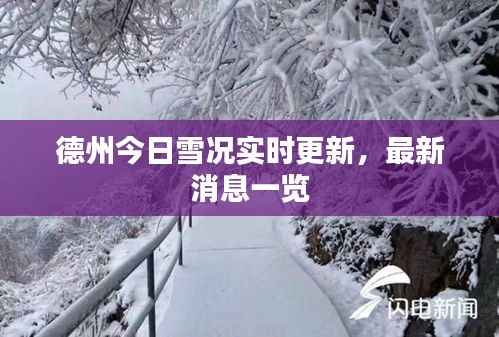 德州今日雪况实时更新,最新消息一览