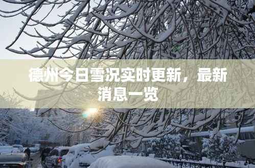 德州今日雪况实时更新,最新消息一览