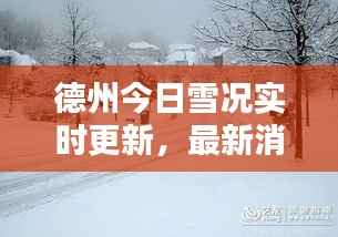 德州今日雪况实时更新,最新消息一览