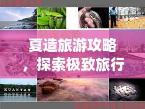 夏造旅游攻略,探索极致旅行体验的秘密