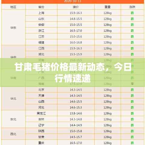 甘肃毛猪价格最新动态,今日行情速递
