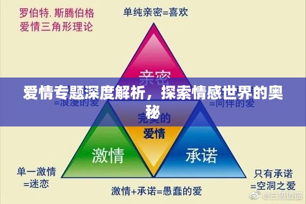爱情专题深度解析,探索情感世界的奥秘