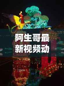 阿生哥最新视频动态揭秘,不容错过!