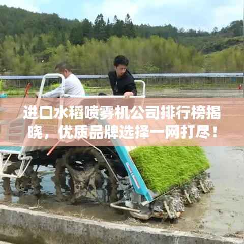 进口水稻喷雾机公司排行榜揭晓,优质品牌选择一网打尽!