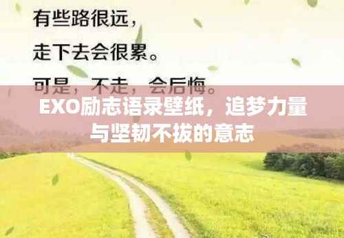 EXO励志语录壁纸,追梦力量与坚韧不拔的意志