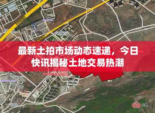 最新土拍市场动态速递，今日快讯揭秘土地交易热潮