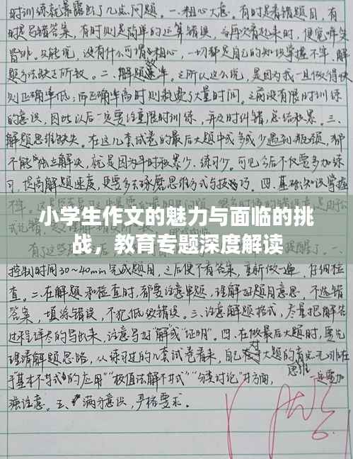 小学生作文的魅力与面临的挑战,教育专题深度解读