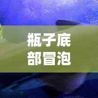 瓶子底部冒泡的秘密揭晓!