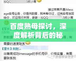 百度熟母探讨,深度解析背后的秘密