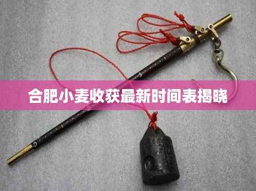 合肥小麦收获最新时间表揭晓