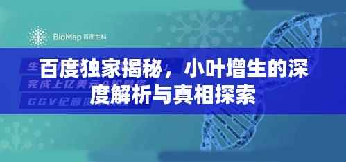 百度独家揭秘,小叶增生的深度解析与真相探索