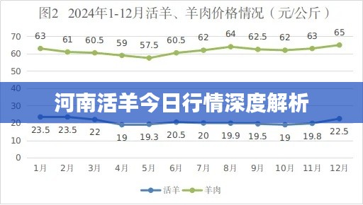 河南活羊今日行情深度解析