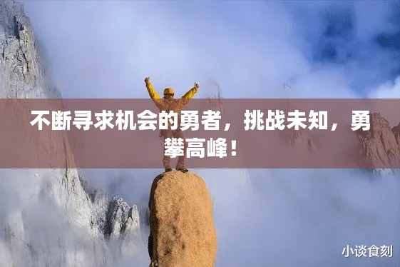 不断寻求机会的勇者,挑战未知,勇攀高峰!