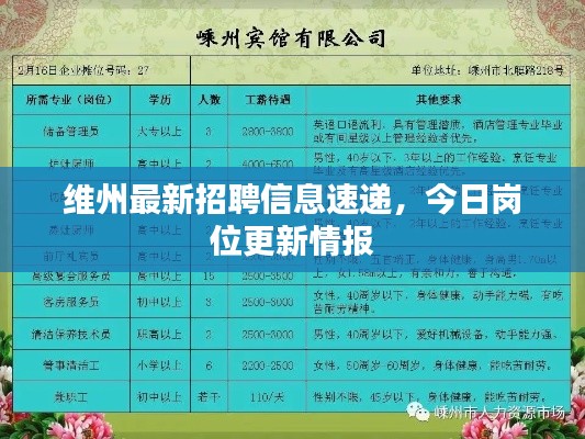 维州最新招聘信息速递,今日岗位更新情报