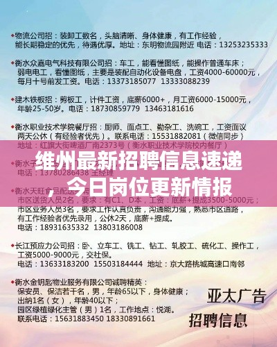 维州最新招聘信息速递,今日岗位更新情报