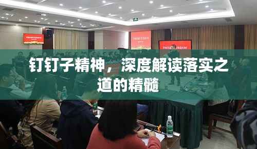 钉钉子精神,深度解读落实之道的精髓