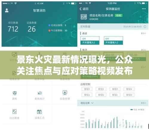 景东火灾最新情况曝光,公众关注焦点与应对策略视频发布