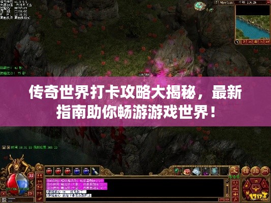 传奇世界打卡攻略大揭秘,最新指南助你畅游游戏世界!